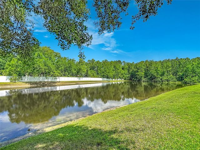 16224 IVY LAKE DRIVE, Odessa, FL 33556