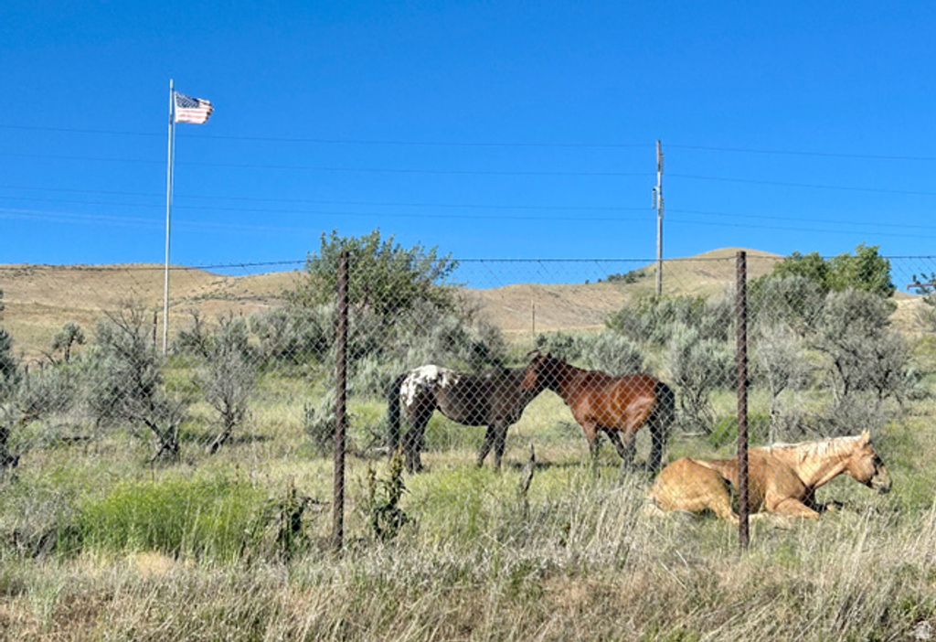 1940 W OLD HIGHWAY RD, Morgan, UT 84050 — photo 3
