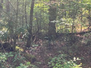 2001 Copper Creek Road, Murphy, NC 28906