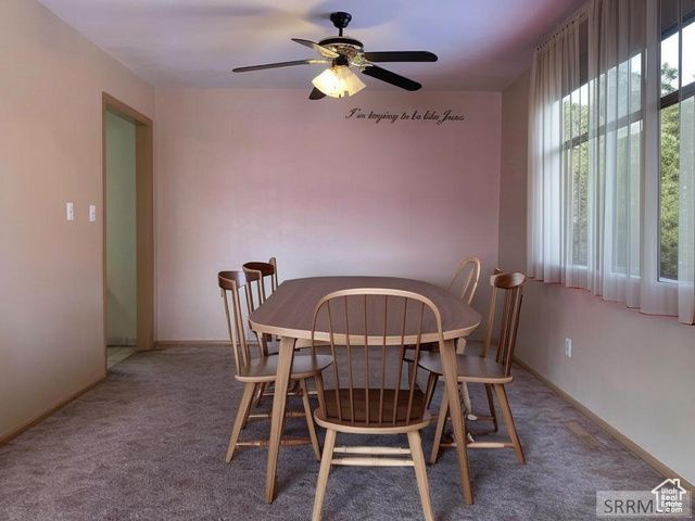 301 N ASHLAND DR, Soda Springs, ID 83276