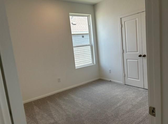 8310 Holly Blue Drive, Rosharon, TX 77583