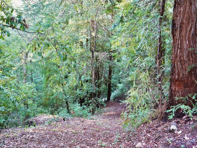 245 Northridge Drive, Scotts Valley, CA 95066