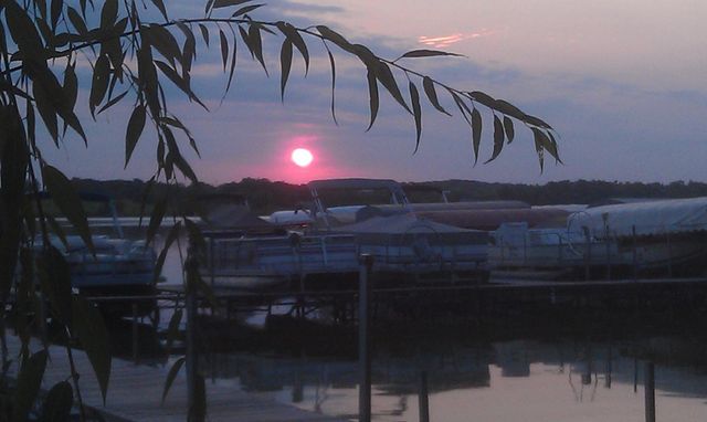 2945 County Road 4 SW 428, Cokato, MN 55321