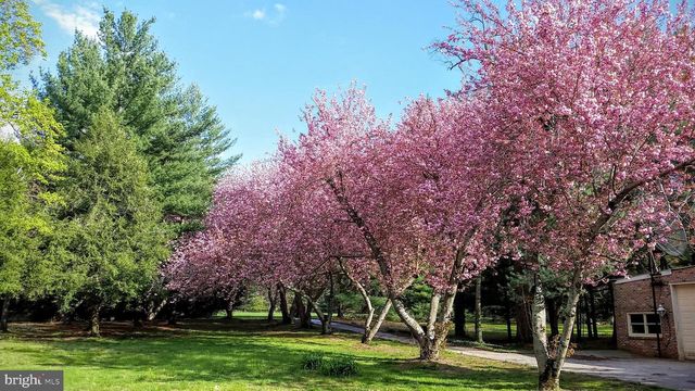 14183 ROBERTS DR, Golts, MD 21637