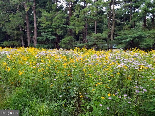 14183 ROBERTS DR, Golts, MD 21637