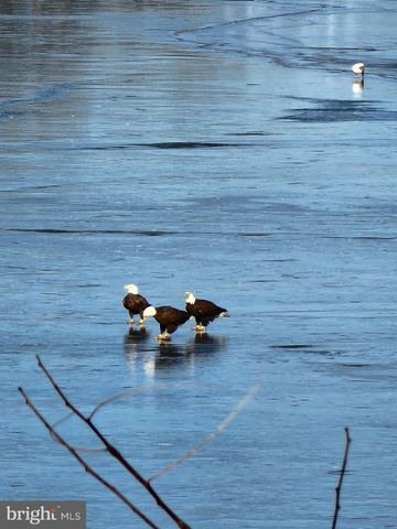 14183 ROBERTS DR, Golts, MD 21637