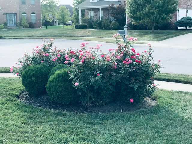 396 Morningside Drive, Brownsburg, IN 46112