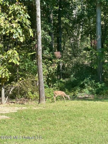 568 Woodford Cove, Hernando, MS 38632