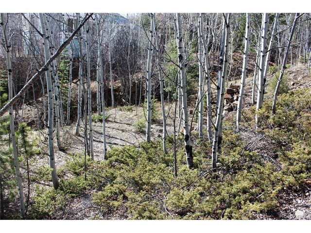 0 Spruce St, Central City, CO 80427