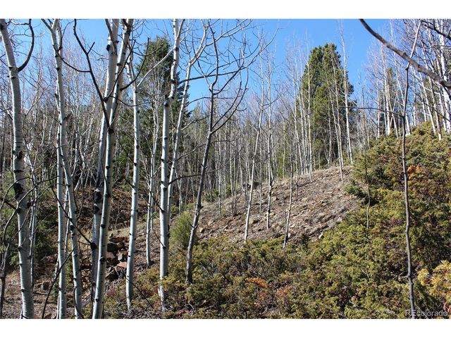 0 Spruce St, Central City, CO 80427