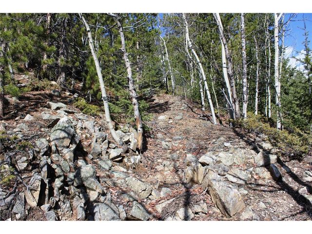 0 Spruce St, Central City, CO 80427
