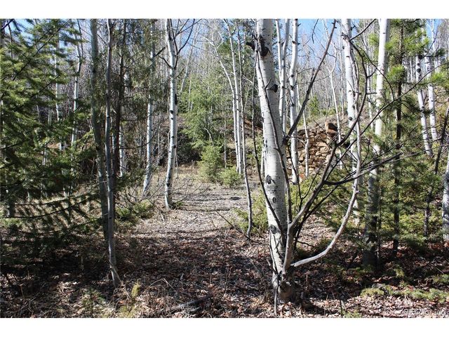 0 Spruce St, Central City, CO 80427