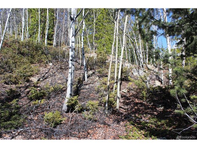 0 Spruce St, Central City, CO 80427