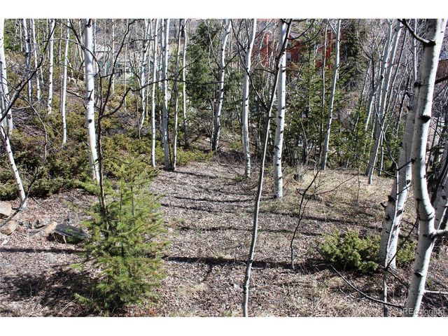 0 Spruce St, Central City, CO 80427