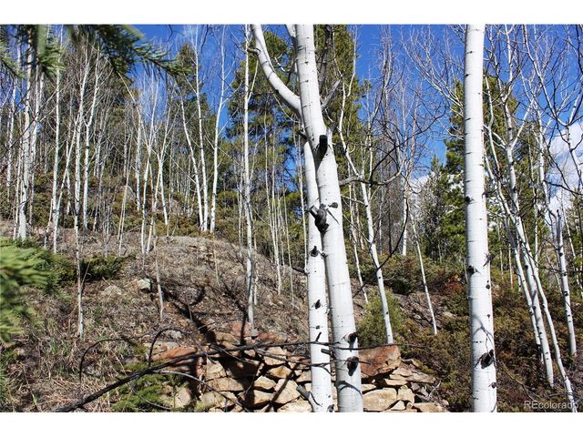 0 Spruce St, Central City, CO 80427