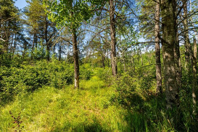 23790 360th Street, Huntersville Twp, MN 56464