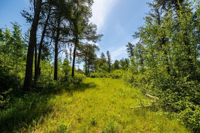 23790 360th Street, Huntersville Twp, MN 56464