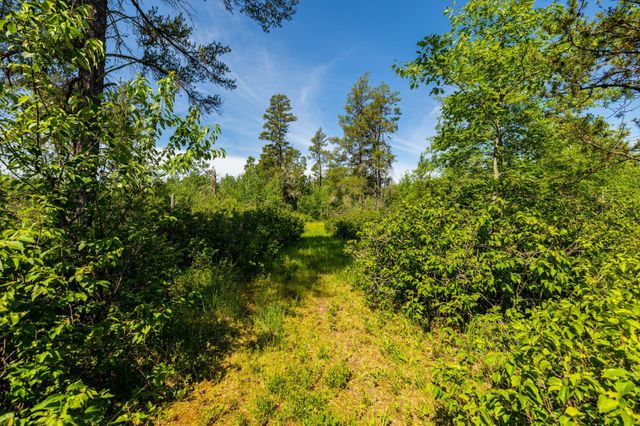 23790 360th Street, Huntersville Twp, MN 56464