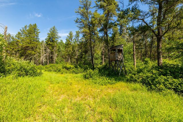 23790 360th Street, Huntersville Twp, MN 56464