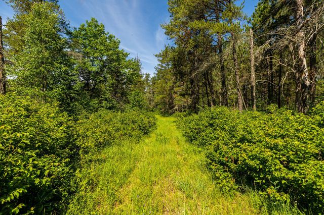 23790 360th Street, Huntersville Twp, MN 56464