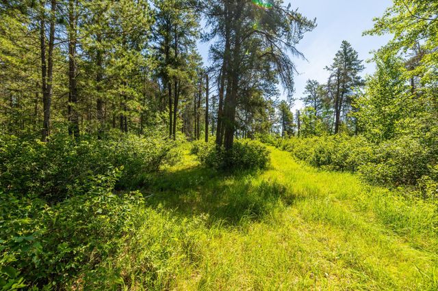23790 360th Street, Huntersville Twp, MN 56464