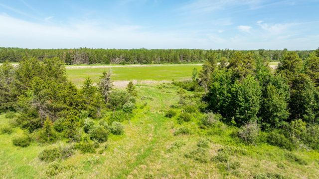 23790 360th Street, Huntersville Twp, MN 56464
