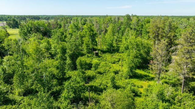 23790 360th Street, Huntersville Twp, MN 56464