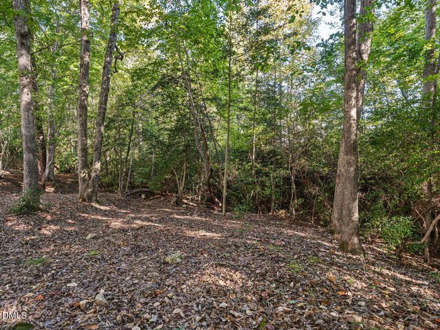 64 Creststone Court, Clayton, NC 27527