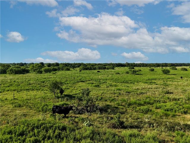 TBD CR 123, Iola, TX 77831