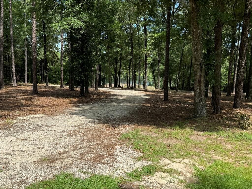 1150 Celeste Springs Drive, Saraland, AL 36571 — photo 2