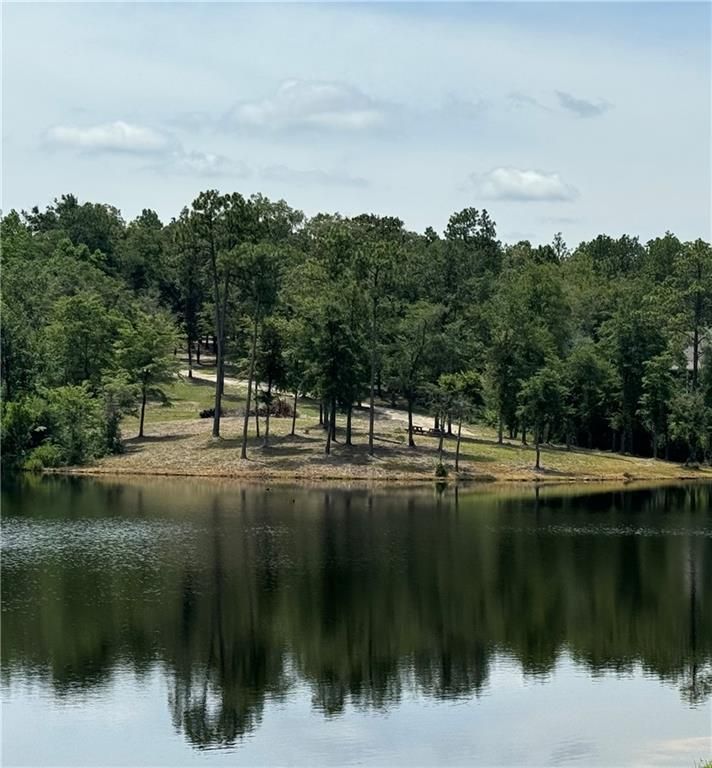 1150 Celeste Springs Drive, Saraland, AL 36571 — photo 5