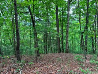 1674A Hunter Drive, Ranger, GA 30734