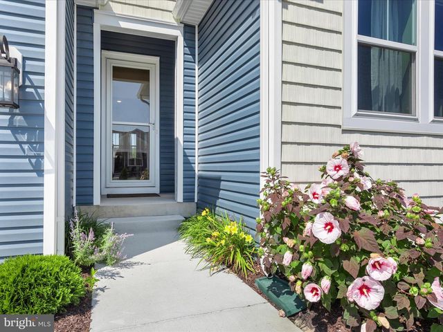 23411 BUTTONBUSH WAY, Millville, DE 19967