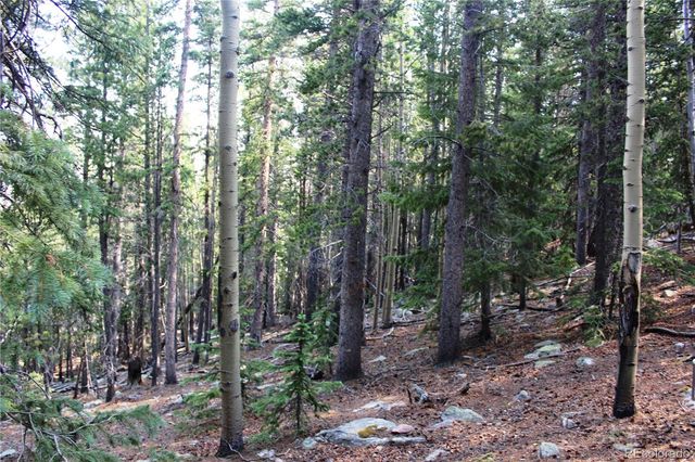 Lot 18 Hidden Wildernes Road, Idaho Springs, CO 80461