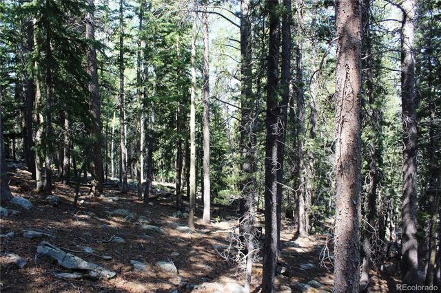 Lot 18 Hidden Wildernes Road, Idaho Springs, CO 80461