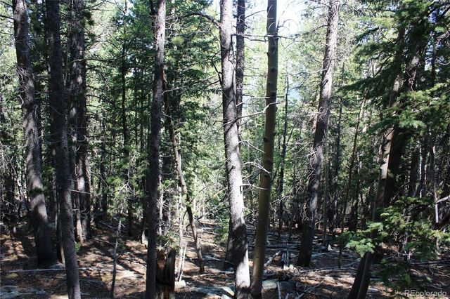 Lot 18 Hidden Wildernes Road, Idaho Springs, CO 80461