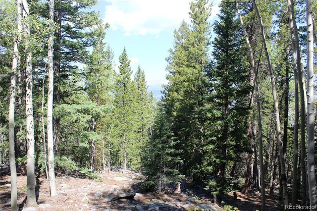Lot 18 Hidden Wildernes Road, Idaho Springs, CO 80461