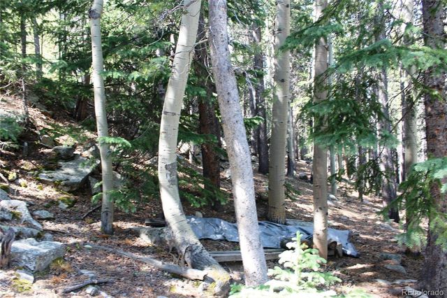 Lot 18 Hidden Wildernes Road, Idaho Springs, CO 80461