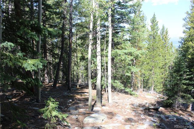 Lot 18 Hidden Wildernes Road, Idaho Springs, CO 80461