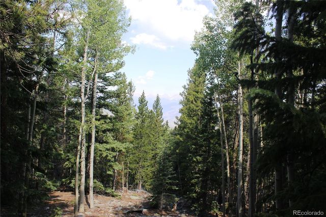 Lot 18 Hidden Wildernes Road, Idaho Springs, CO 80461