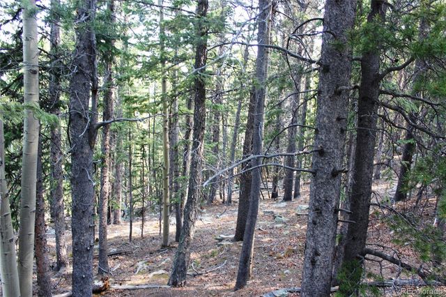 Lot 18 Hidden Wildernes Road, Idaho Springs, CO 80461