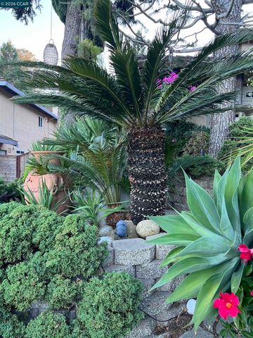 5378 Conestoga Way, Richmond, CA 94803