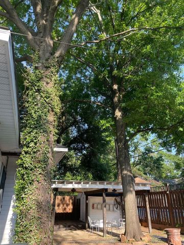 7410 Ilex Street C, Houston, TX 77012