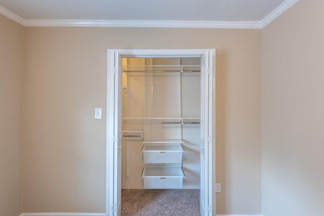 293 Pelican Street, Magnolia, TX 77355