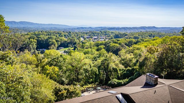 1734 Crockett Ridge, Bristol, VA 24201