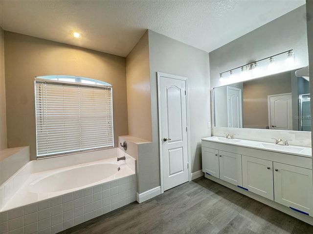 3803 BLUE DASHER DRIVE, Kissimmee, FL 34744