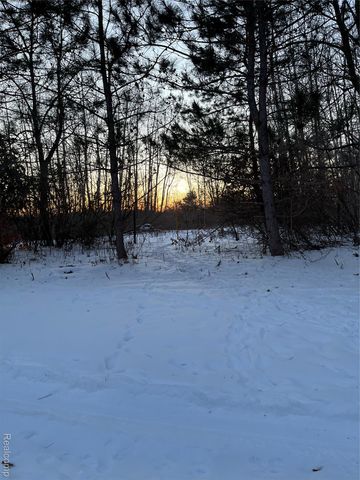 3000 S Genuine Road, Chippewa Township, MI 48858