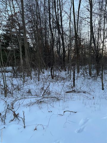 3000 S Genuine Road, Chippewa Township, MI 48858