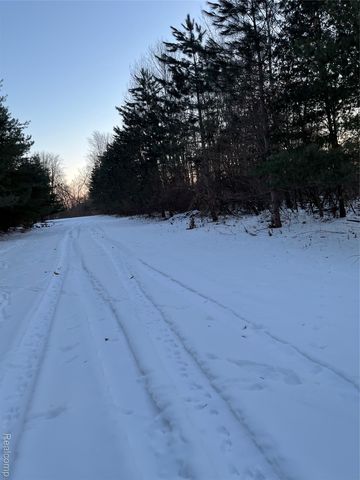 3000 S Genuine Road, Chippewa Township, MI 48858
