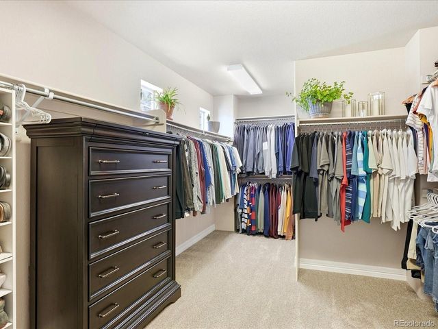 103 Pipit Lake Ct, Erie, CO 80516